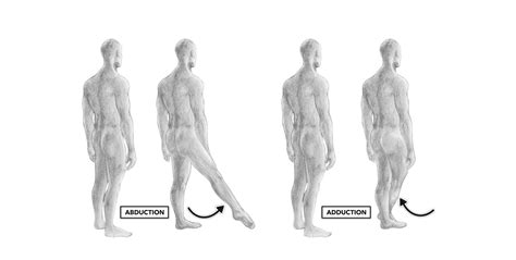 crossfit movement  joints part   hip