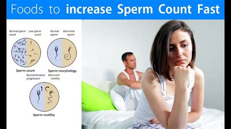 what to eat increase sperm count fast youtube