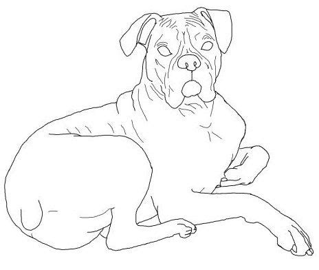 coloring page dog  art dog  boxer dogs art