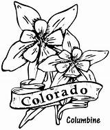 Coloring Columbine Flowers Flower Colorado State Pages Drawing Kids Printable Template sketch template