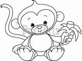 Monkey Coloring Hanging Pages Baby Monkeys Banana Cartoon Clipart Color Eating Shower Getcolorings Print Printable sketch template