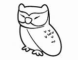 Owl Relaxed Coloring Coloringcrew Colorear sketch template