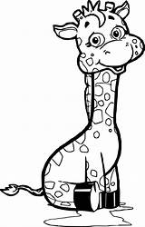 Giraffe Sitdown Wecoloringpage Kunjungi sketch template