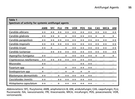 spectrum  activity  systemic antifungal agents antifungals