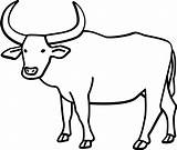 Carabao Gnu Steer Automatically Webstockreview sketch template