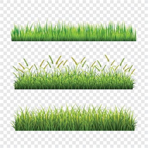 green grass template set  vector art  vecteezy