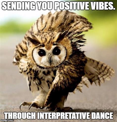 image tagged  positive vibesinterpretative danceowl imgflip
