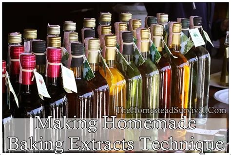 homemade extracts  homestead survival