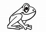 Frog Coloring Color Coqui Pages Kids Frogs Drawing Printable Clipart Easy Cartoon Tree Cliparts Print Sheets Use Cute Life Cycle sketch template