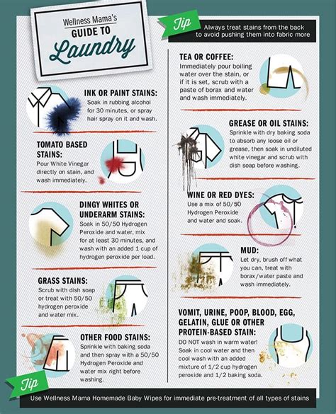 stain removal guide rcoolguides