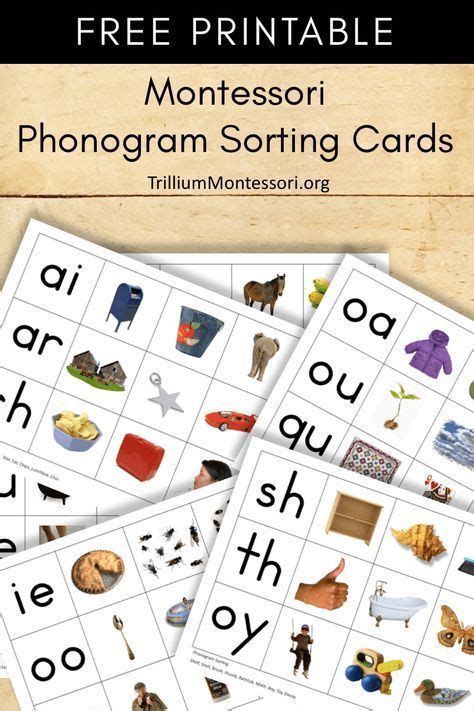 montessori printable phonogram sorting montessori homeschool