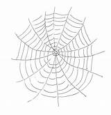 Web Coloring Spider Pages Kids Printable Websites Drawing Articuno Pokemon Print Bestcoloringpagesforkids Favorite Adult Collection Color Getdrawings Getcolorings sketch template