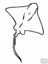 Stingray Drawing Ray Coloring Pages Getdrawings sketch template