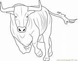 Taurus Bull Coloringpages101 Designlooter sketch template