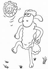 Shaun Skating Coloring Pages Sheep Categories sketch template