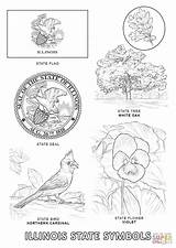 Alabama Symbols Dakota Texas Kansas Pa Pennsylvania Mockingbird sketch template