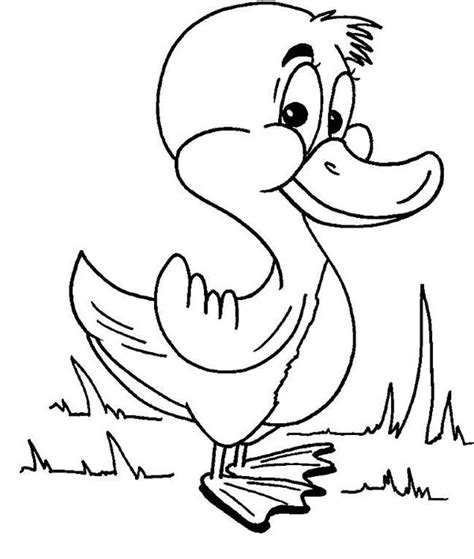 duck coloring page  kids netart