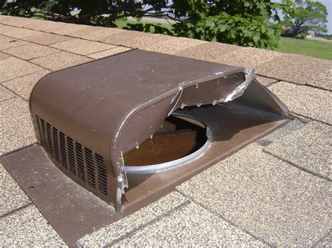 wildlife proof roof vents skedaddle wildlife control