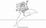 Dolphin Sbsp Spongebob sketch template