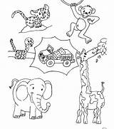 Animals Coloring Savanna Pages Grassland Getcolorings Printable Color Animal sketch template