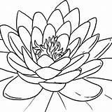 Lotus Flower Coloring Pages Getcolorings Blooming Printable sketch template