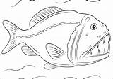 Piranha Pirania Kolorowanka Atakuje Piranie Coloringbay Druku Ryby Są sketch template