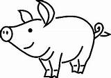 Pig Coloring4free sketch template