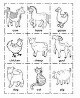 Animals Farm Animal Flashcards Printable Cards Flash Activities Worksheets English Para Coloring Printables Pdf Pages Preschool Clip Words Board Ingles sketch template