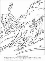 Prehistoric Tiere Dover Publications Beasts Eiszeit sketch template