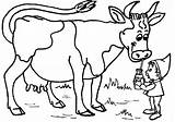 Cow Coloring Pages Kids Printable sketch template