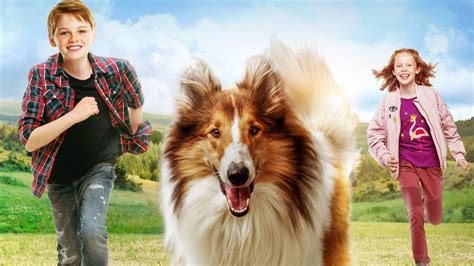 lassie come home 2020 backdrops — the movie database tmdb
