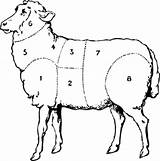 Sheep Clip Clipart Vector Mutton Clker Svg Clipground 4vector sketch template