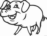 Pig Coloring4free Coloring Pages Baby Printable Bfree Related Posts sketch template