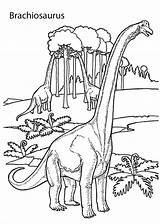 Brachiosaurus Dinosaurs Colorare Ausmalbilder Dinosaurier Brontosauro Malvorlagen Dinosauri Ausmalen Mangia Disegno Sheets Babbo Coloringbay Dinosaurus sketch template