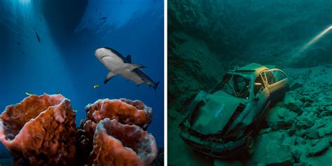 15 mesmerizing underwater photos that show what s really