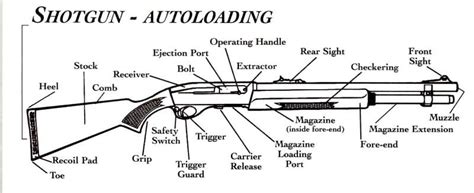 auto loading shotgun nomenclature