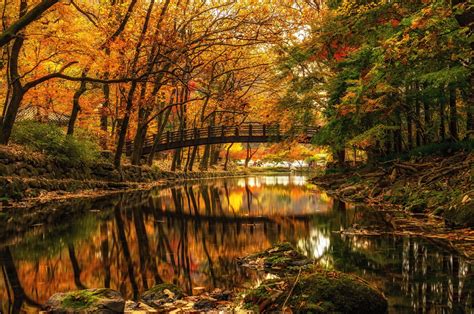sfondi alberi paesaggio foresta autunno acqua riflessione pietre parco ramo ponte