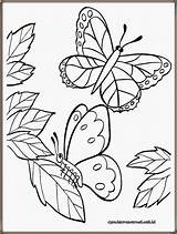 Gambar Mewarnai Coloring Pages Sheets Kids Kupu Bunga Dan Print Book sketch template