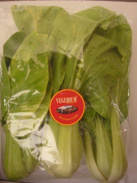 mustard greens chinese cabbage buy mustard greens product on