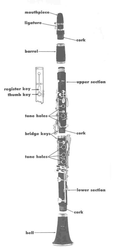 pictures  clarinet