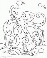 Polvo Octopus Mimic Desenhar sketch template
