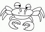 Rac Colorat Planse Desene Crabi Imagini Crab Racul Educatia Conteaza Rama sketch template