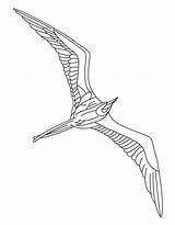 Flying Coloring Drawing Seabird Bird Albatross Blue Pages Drawings Getdrawings 810px 25kb sketch template