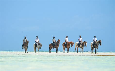 booking zanzibar horse club