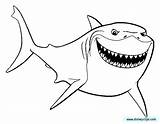 Nemo Finding Ausmalbilder Bruce Findet Dory Dorie Sped Coloriage sketch template