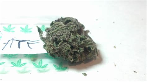 medical marijuana weed cannabis information