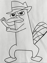 Platypus Phineas Ferb sketch template