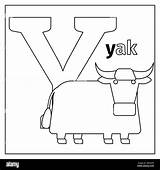 Yak sketch template