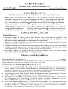 Sample assistant general counsel resume