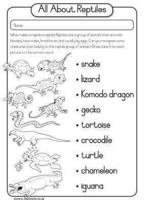 pin printable worksheets reptiles word search party planning